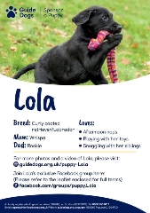 Rose Garden sponsors Lola the guide dog puppy