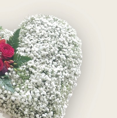 Gypsophila Heart