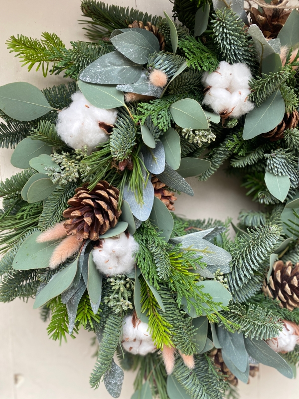 Winter Cotton Meadow