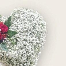 Gypsophila Heart