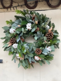 Winter Cotton Meadow