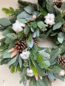 Winter Cotton Meadow