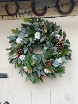 Winter Cotton Meadow