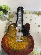 Gibson Guitar