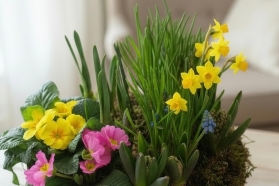 Mum’s Little Garden