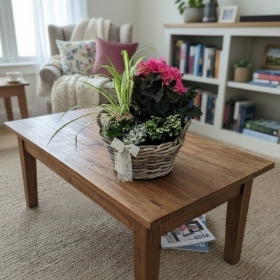 The Cosy Corner Planter