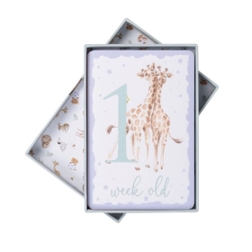 Wrendale Baby Animal Milestone Cards